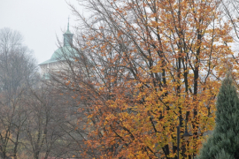 3C6A9274-Exposure-Exposure