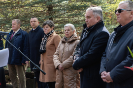 3C6A5517-Exposure-Exposure