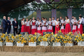 3C6A4606-Exposure-Exposure