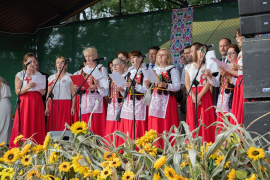 3C6A4611-Exposure-Exposure