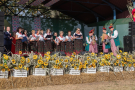 3C6A4746-Exposure-Exposure