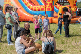 3C6A8016-Exposure-Exposure