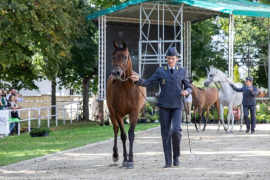 3C6A3550-Exposure-Exposure