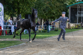 3C6A3696-Exposure-Exposure