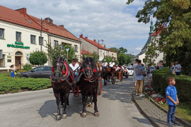 Nadnidziańska Parada Karet i Zaprzęgów Konnych