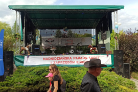Nadnidziańska Parada Karet i Zaprzęgów Konnych