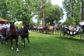Nadnidziańska Parada Karet i Zaprzęgów Konnych
