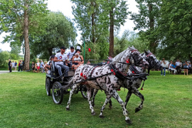 Nadnidziańska Parada Karet i Zaprzęgów Konnych