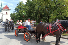Nadnidziańska Parada Karet i Zaprzęgów Konnych