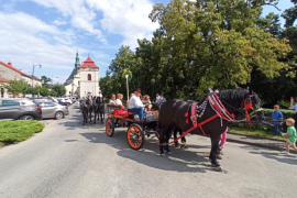 Nadnidziańska Parada Karet i Zaprzęgów Konnych