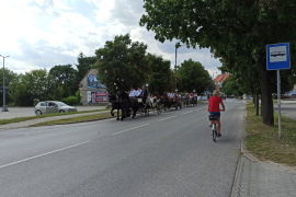 Nadnidziańska Parada Karet i Zaprzęgów Konnych