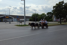 Nadnidziańska Parada Karet i Zaprzęgów Konnych