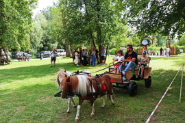 Nadnidziańska Parada Karet i Zaprzęgów Konnych