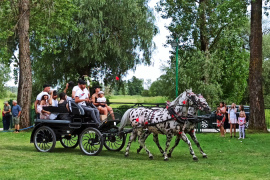 Nadnidziańska Parada Karet i Zaprzęgów Konnych