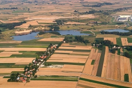 P1013195