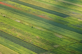 P6143378
