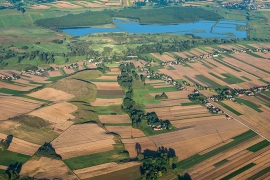 P7299084