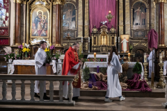 Niedziela Palmowa u Franciszkanów