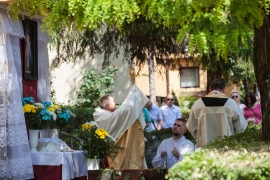 00foto_ (72 of 134)