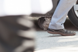 00foto_ (74 of 134)