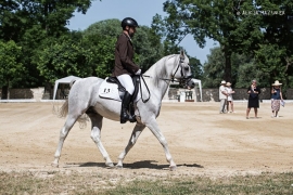 D96C8998